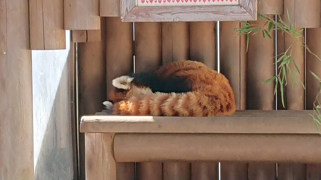 Historic Rakujyukan Villa