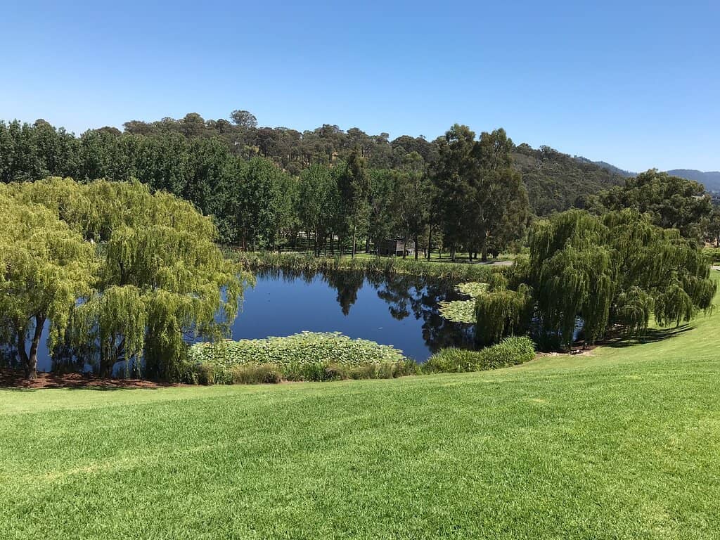 Callum Morton Installation