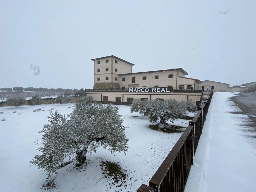 Wine & Olive Oil Tasting