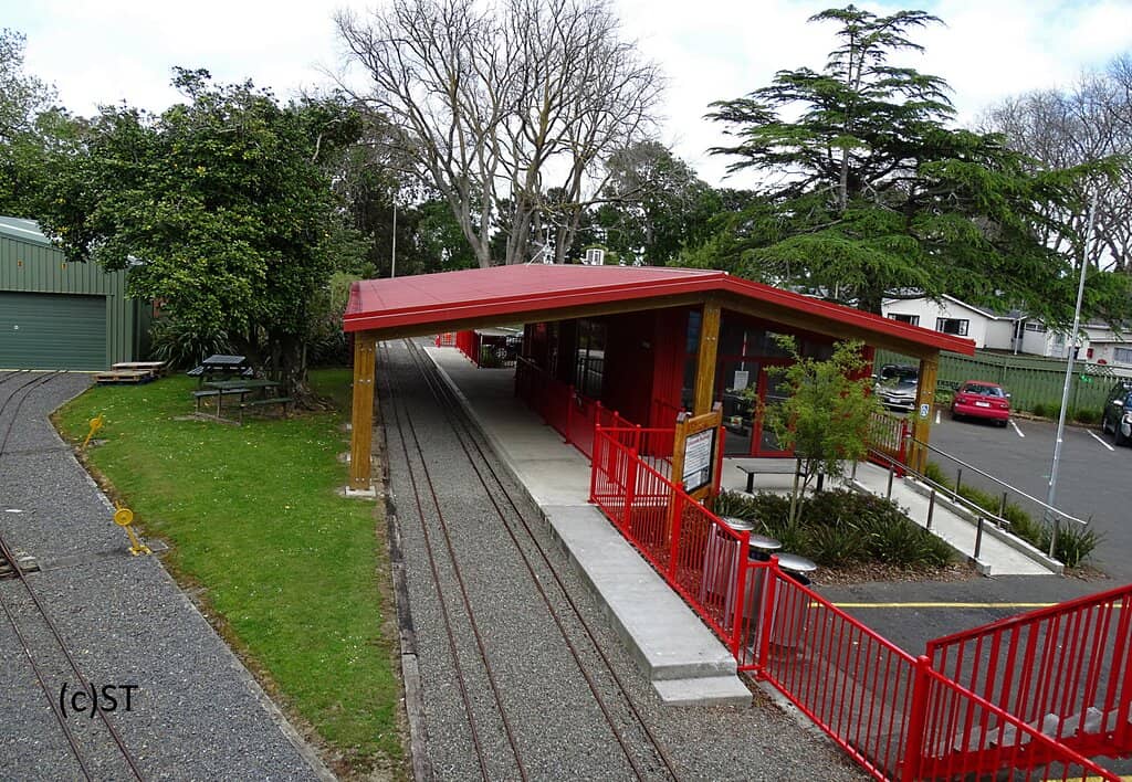 Friendly Volunteer Staff