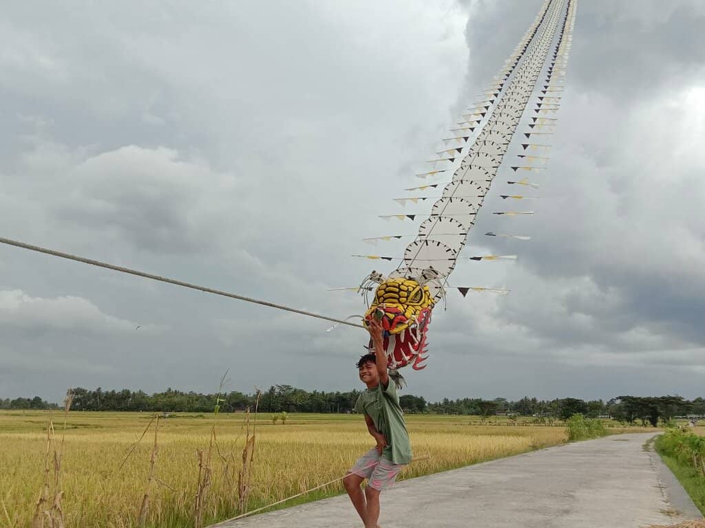 Panoramic Hillside Vistas