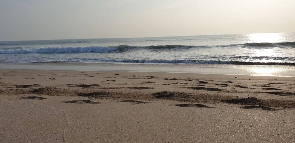 Beachside Activities