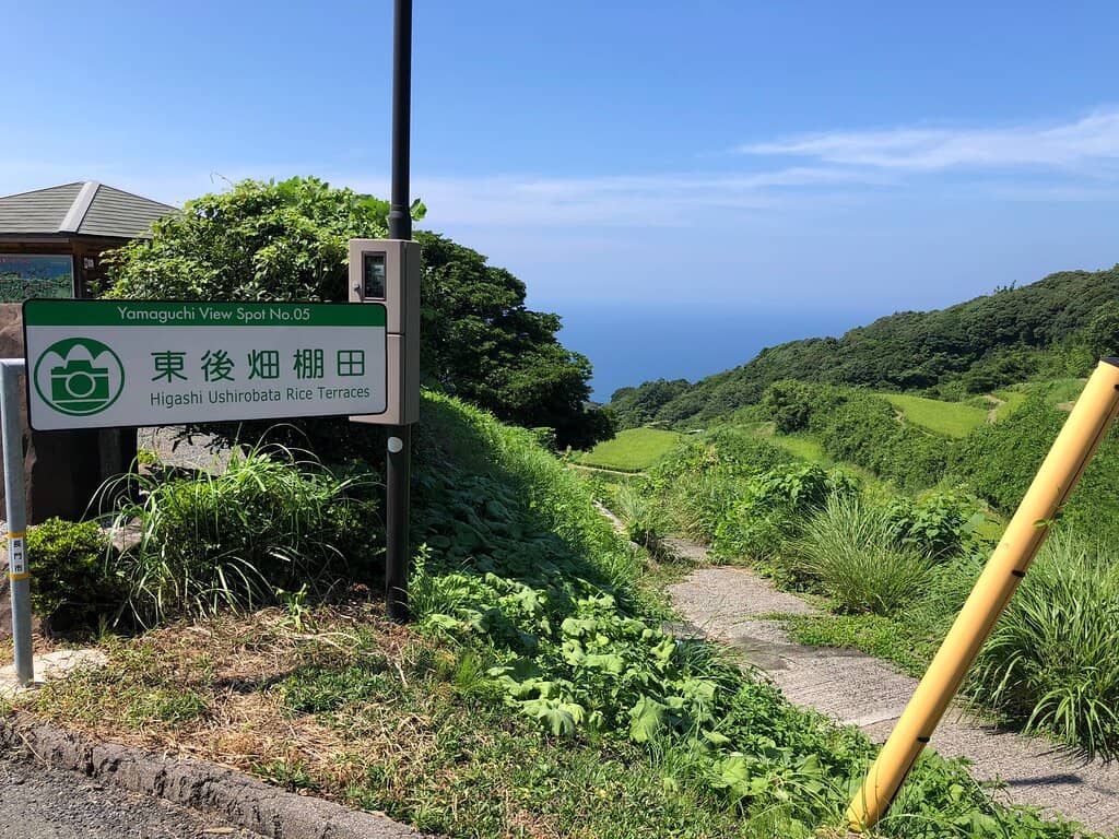 Sunset Views (with caveats)