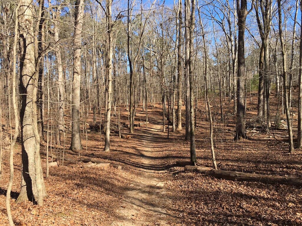 Nature-Inspired Playground