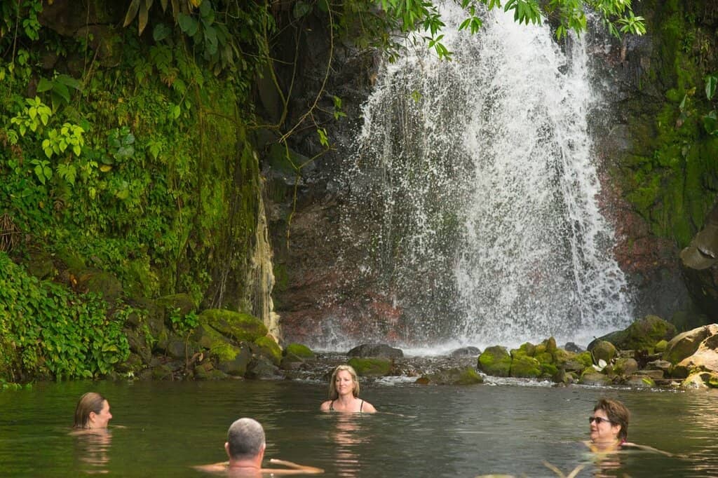 Rainforest Nature Trails