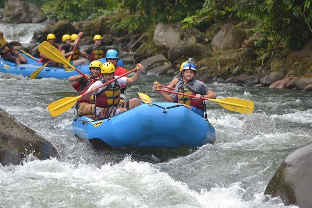 Enchanting Botanical Garden