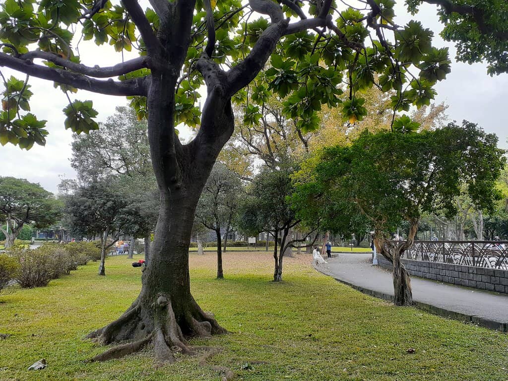 Children's Playground