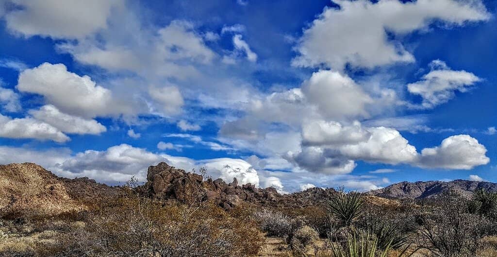 Park Information & Maps