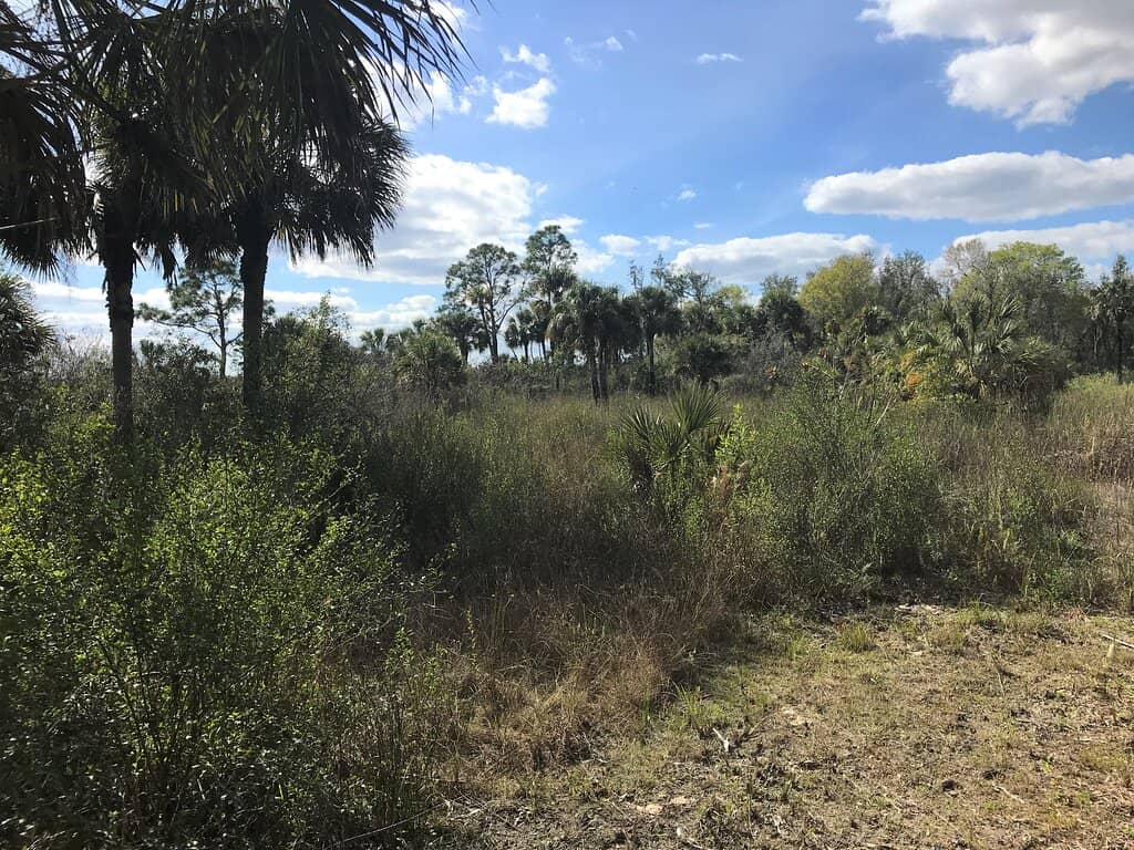 Hiking the Wilderness Trails