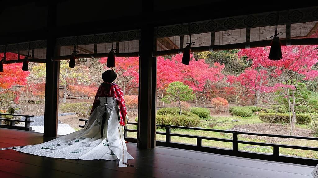 Forced Perspective Displays