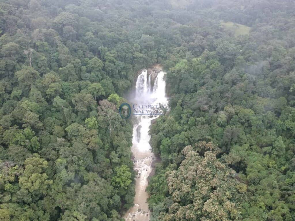 Scenic Hike or Truck Ride