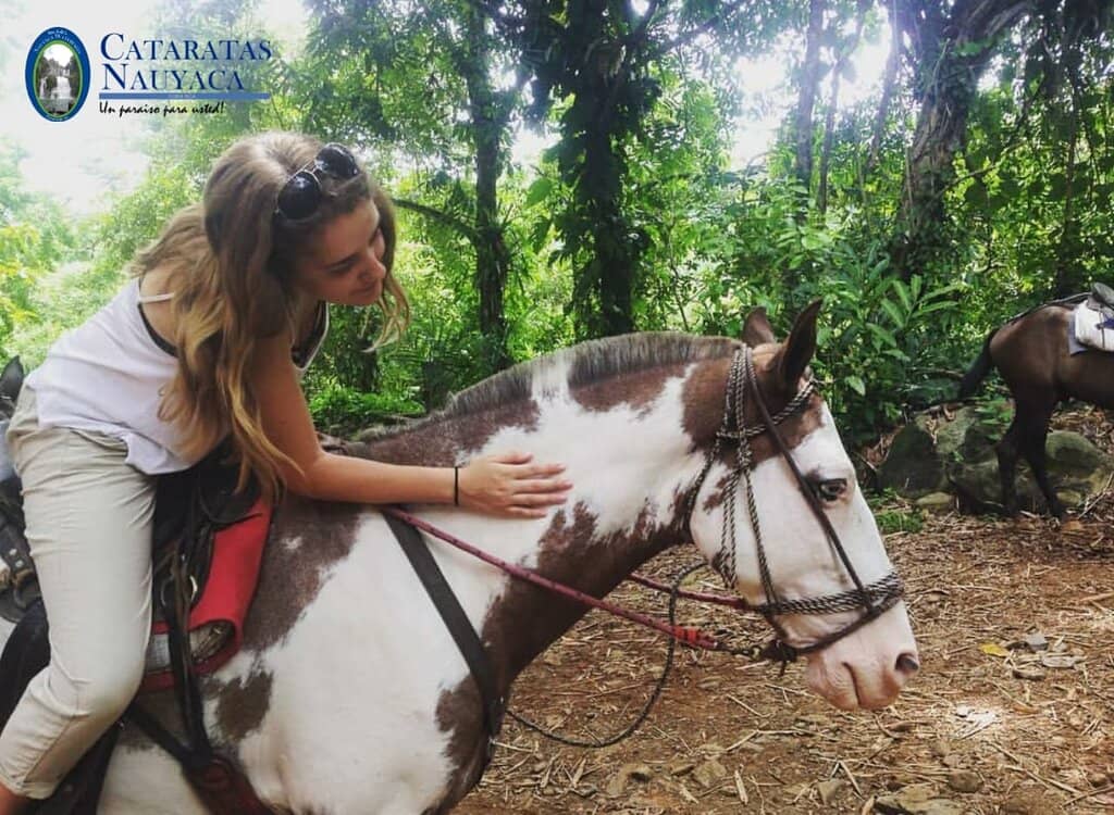 The Majestic Upper Falls