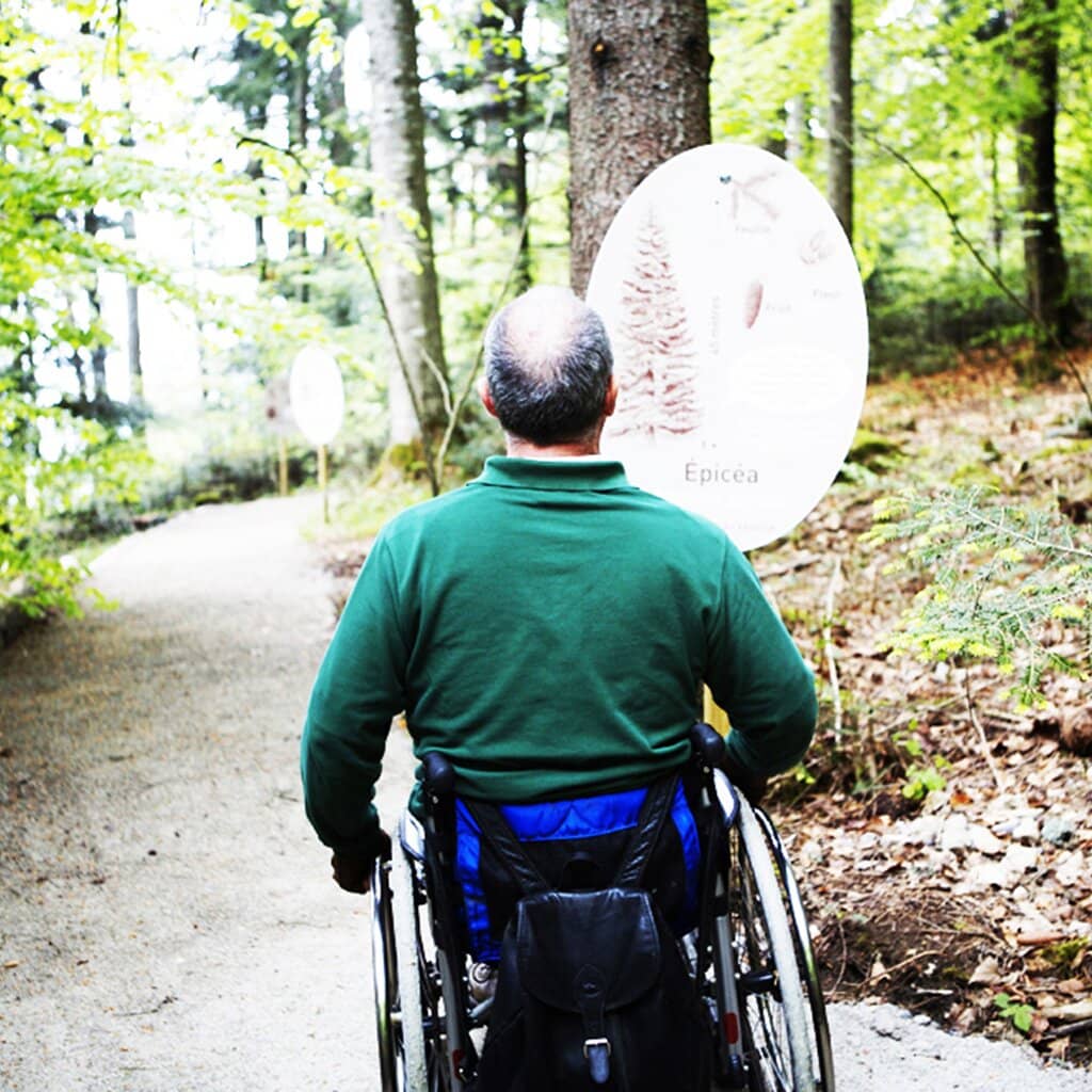 Ninja Warrior Course