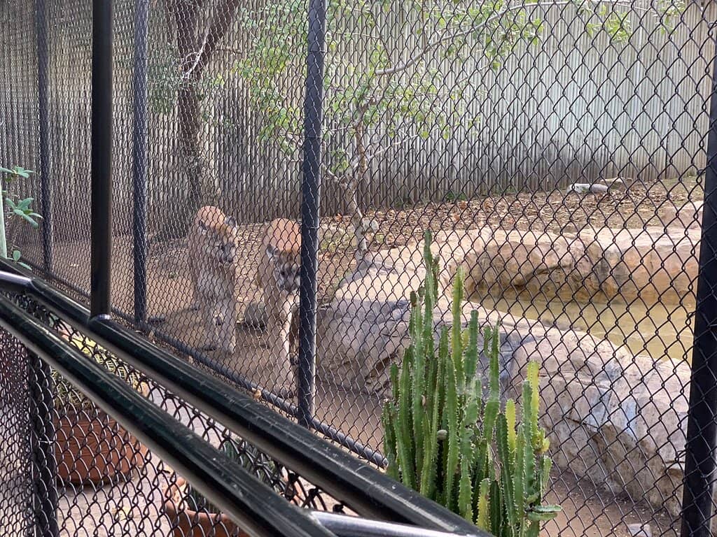 Orange County Zoo (OC Zoo)