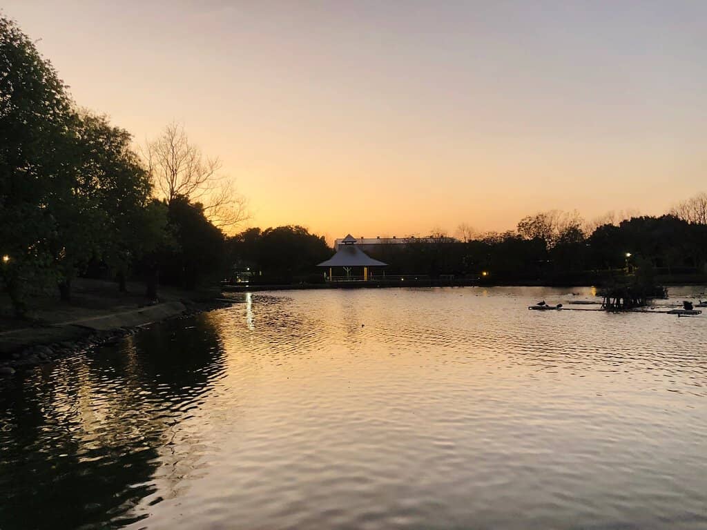 Children's Playground