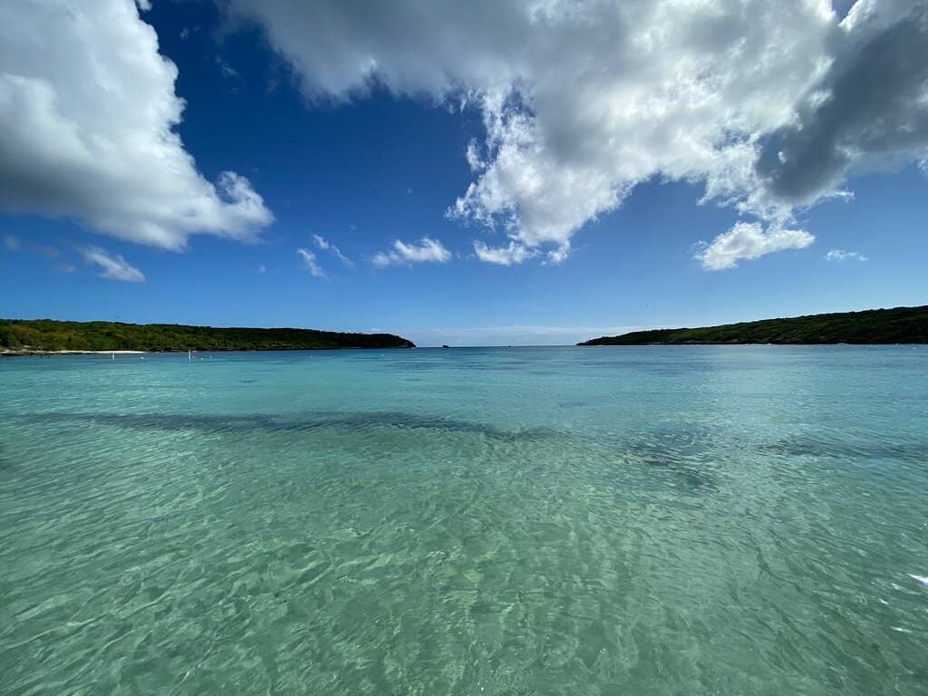 Abundant Marine Life