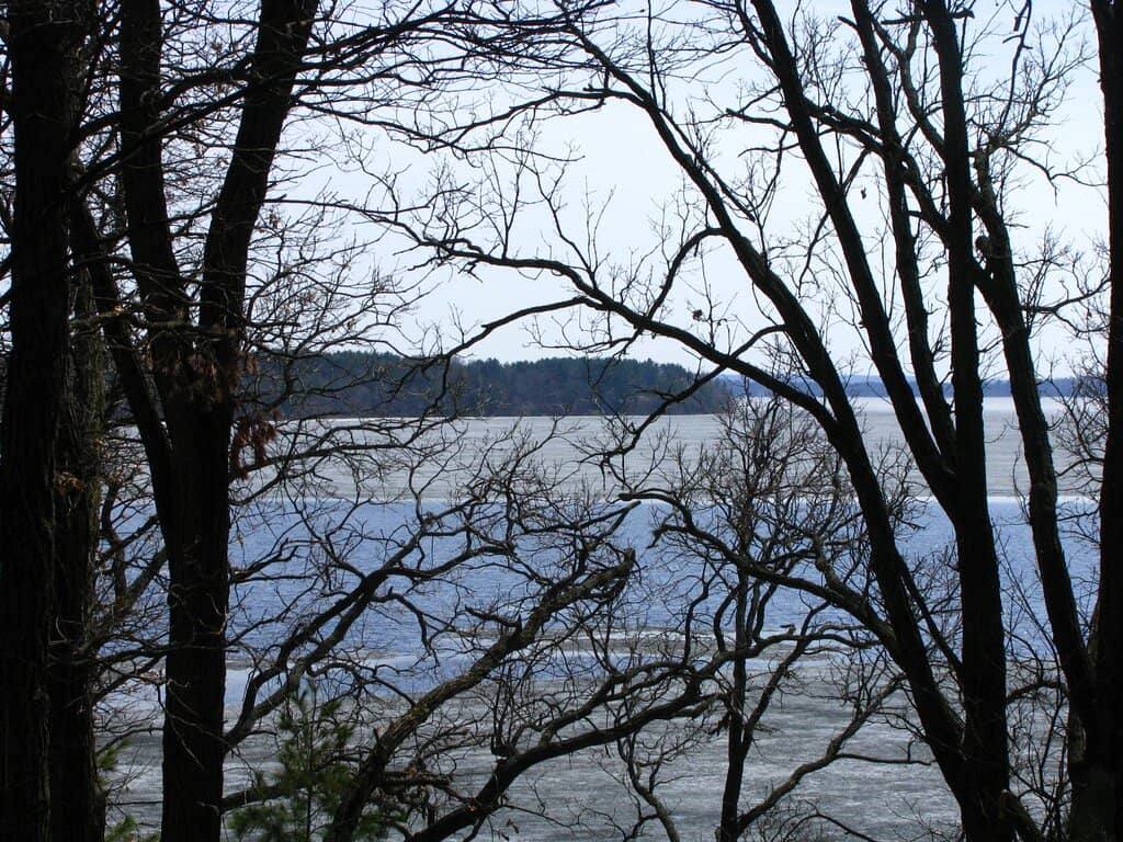 Wooded & Private Campsites