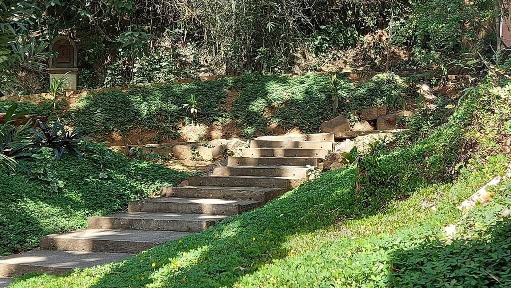 Refreshing River Swim