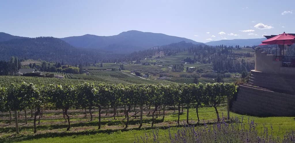 Engaging Wine Tastings