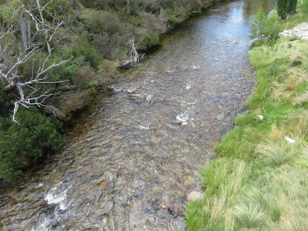 Thredbo River Walk