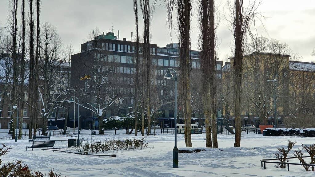 Vibrant Rose Gardens