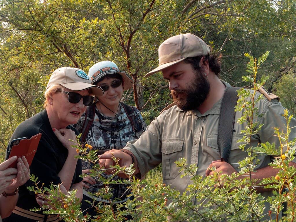 Luxurious Lodge Experience