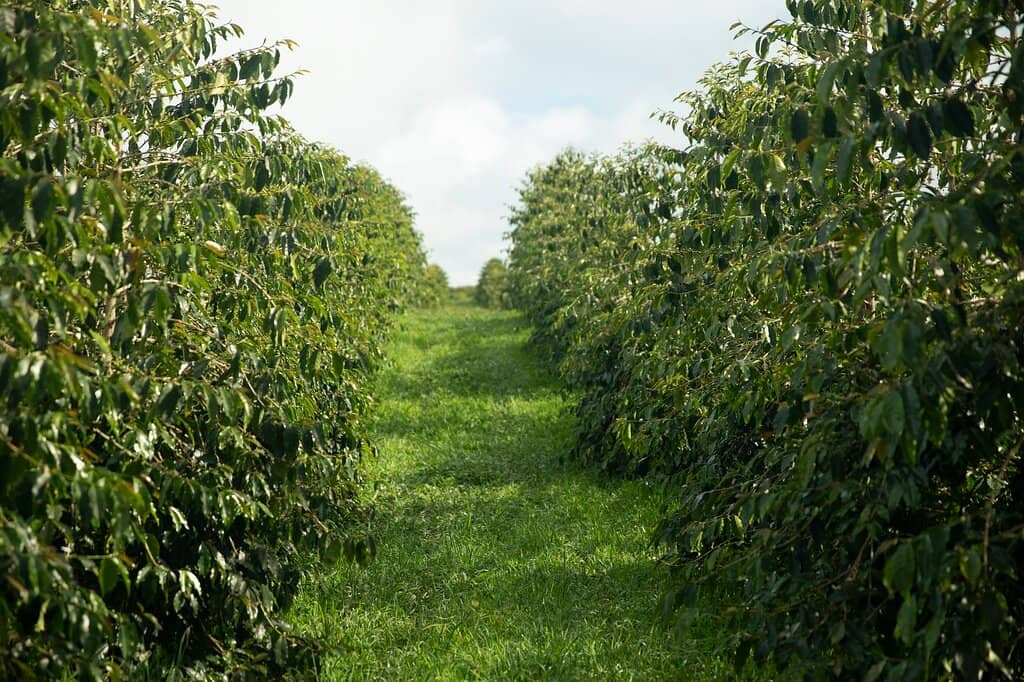 Free Guided Farm Tour