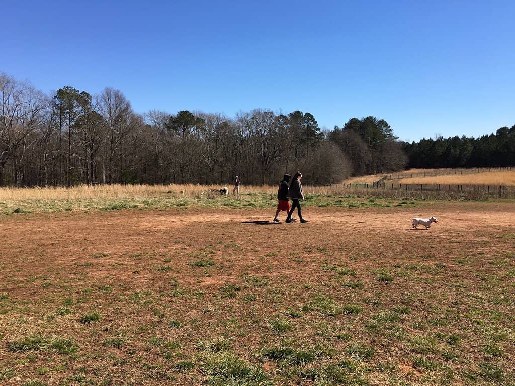 Scenic Walking Trails