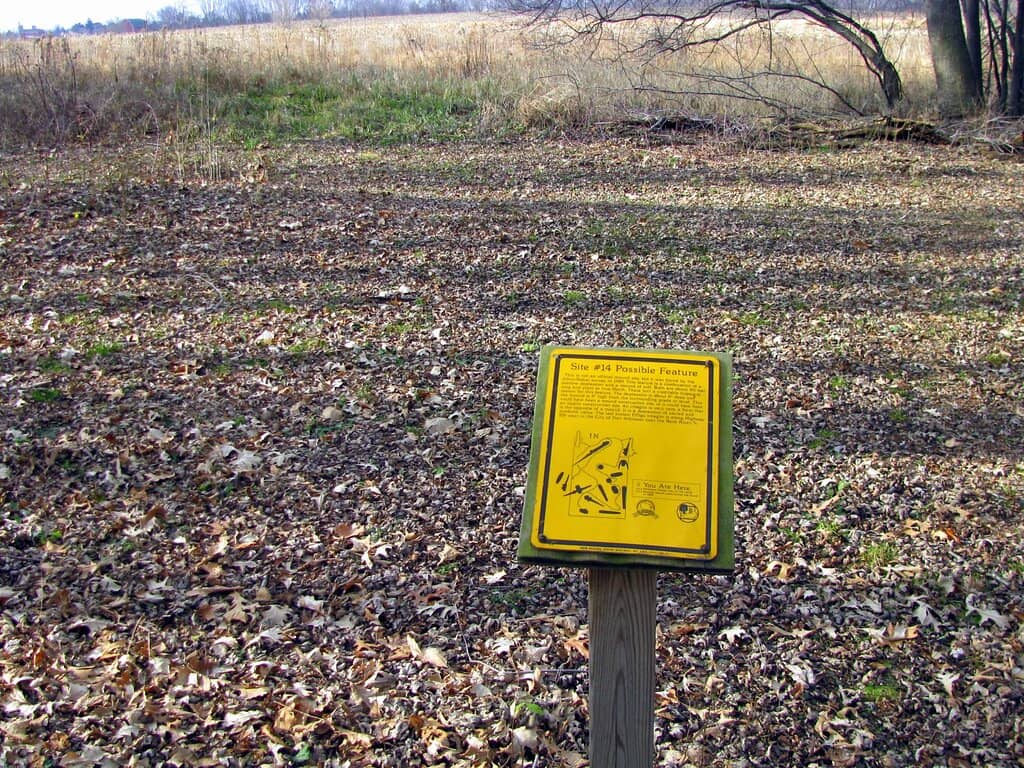 Lakeshore Views & Sunsets