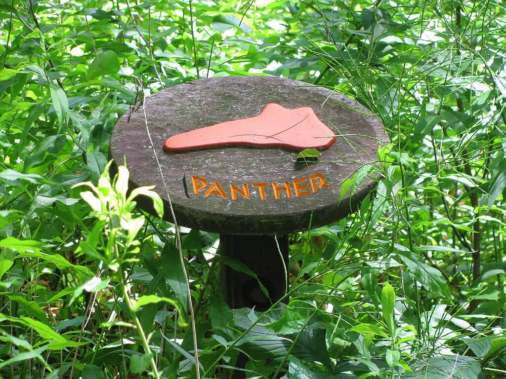 Interpretive Nature Trail