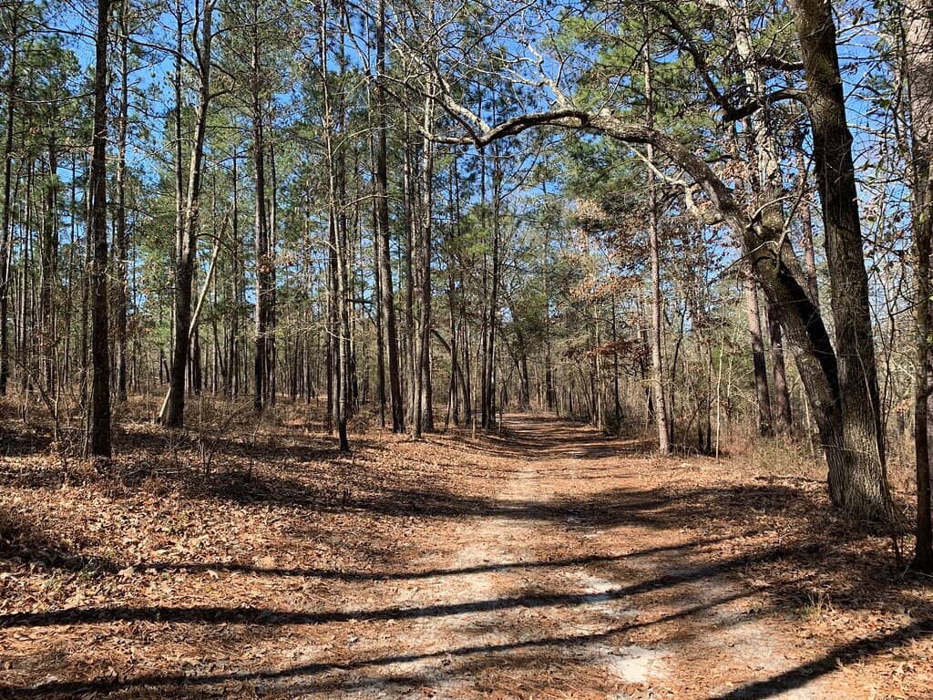 Blessing of the Hounds