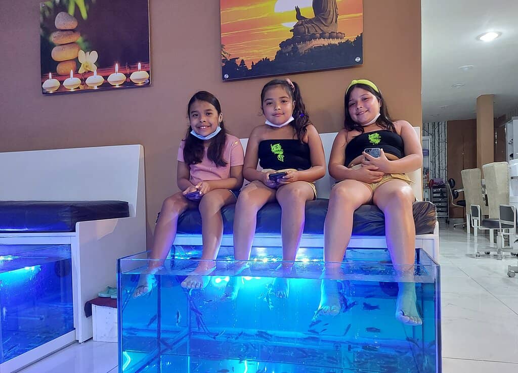 Fish Pedicures
