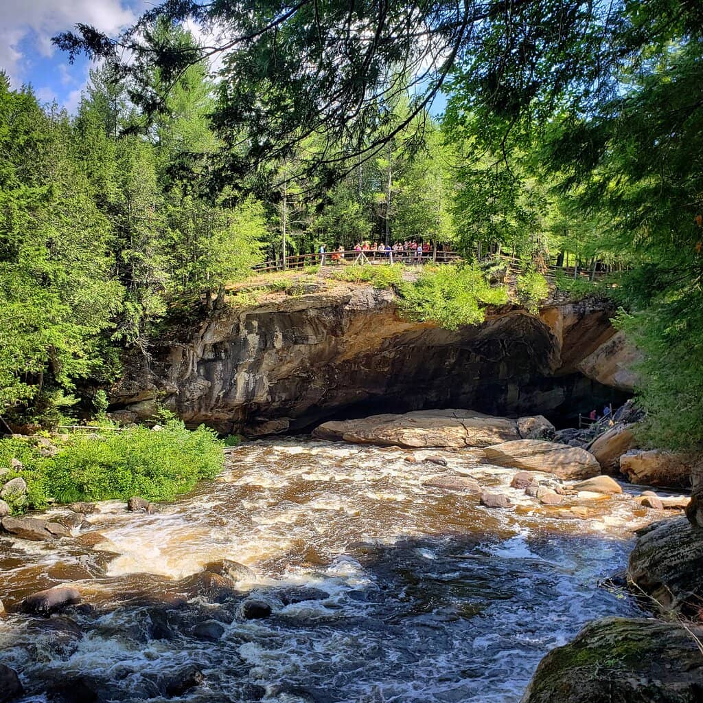 Petrified Wood & Fossils