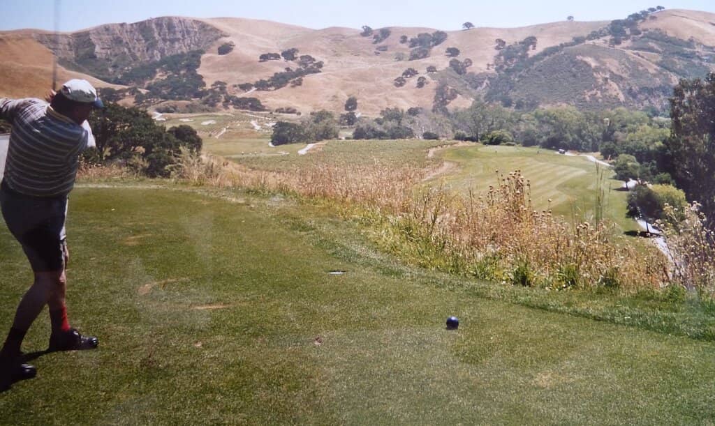 Breathtaking Vineyard Views