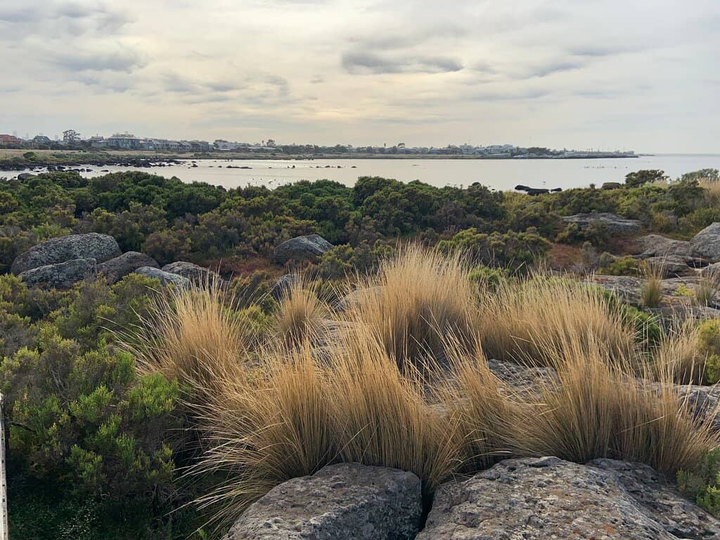 Marine Sanctuary Exploration