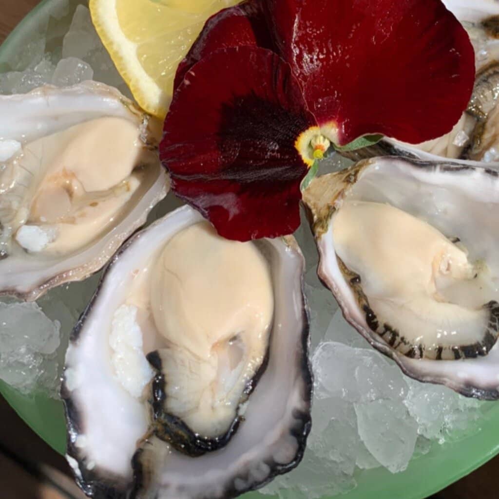 Signature Black Cod Miso