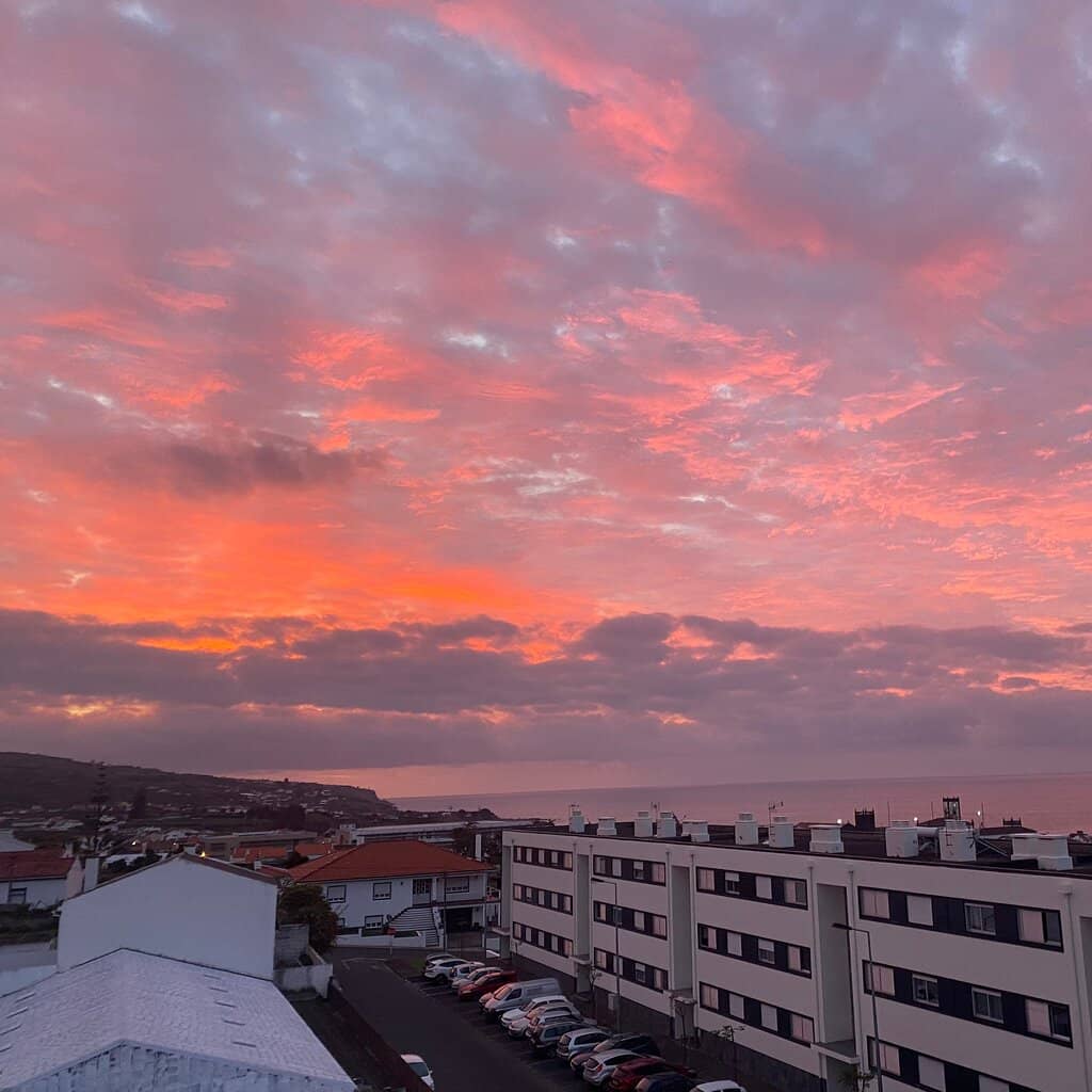 Abundant Marine Life