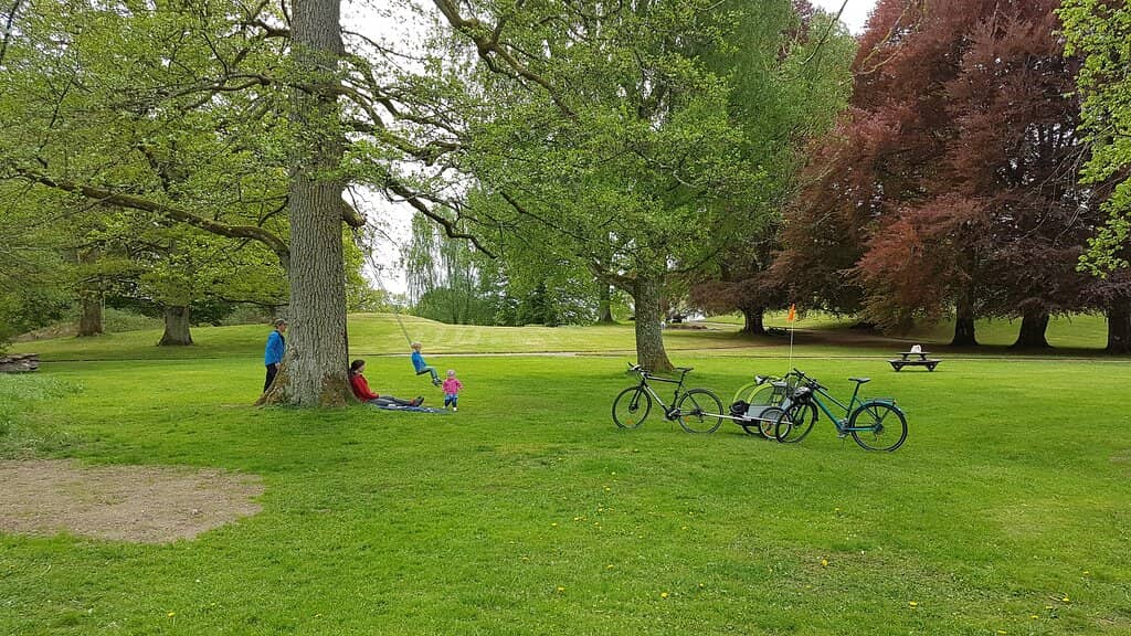 Picturesque Landscape