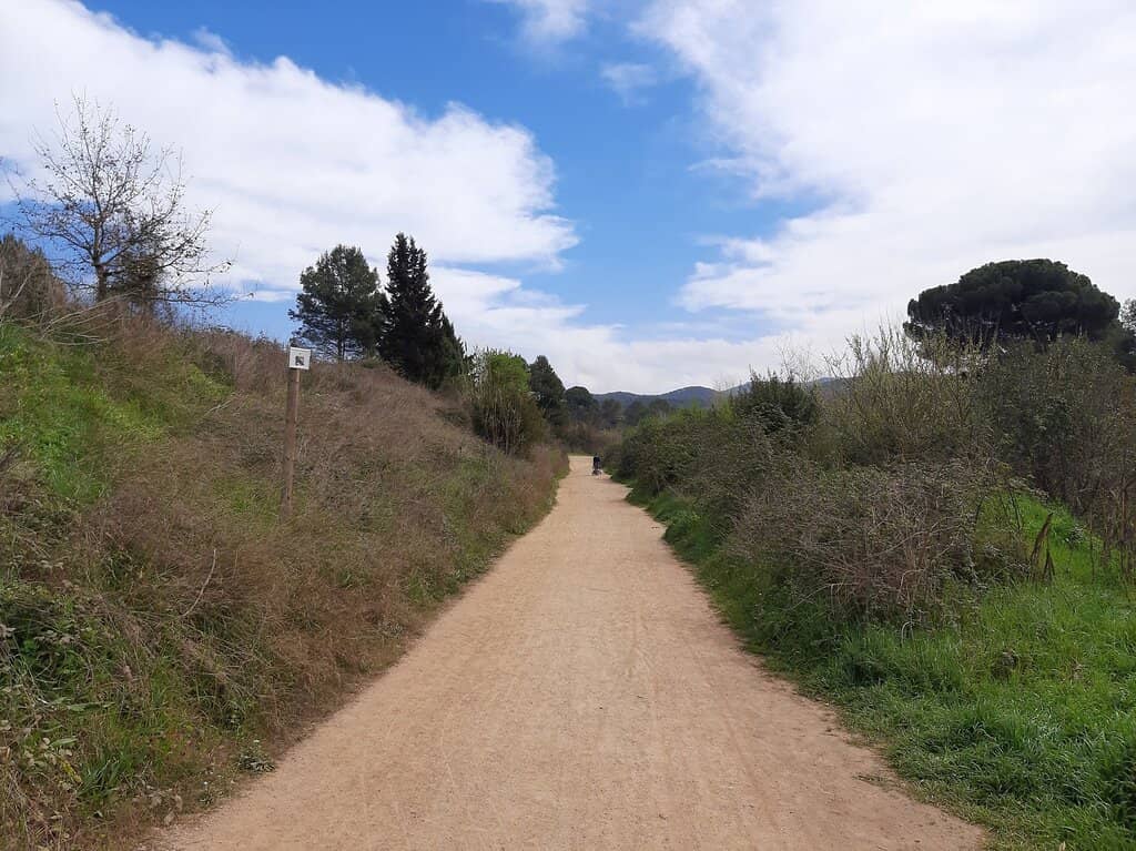 Nature Walks in Collserola