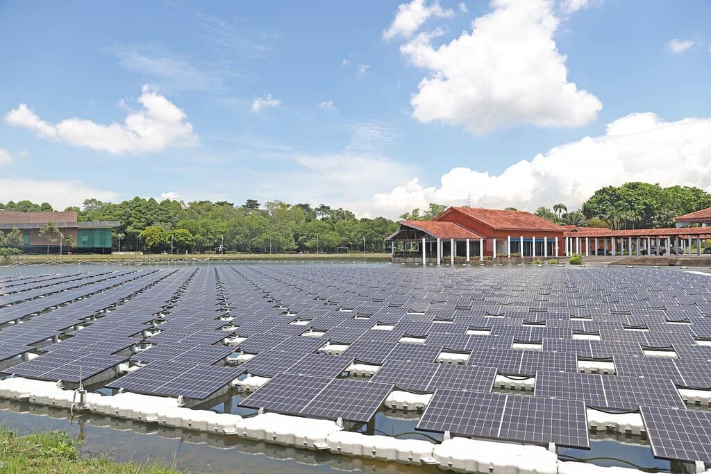 Newscaster Experience