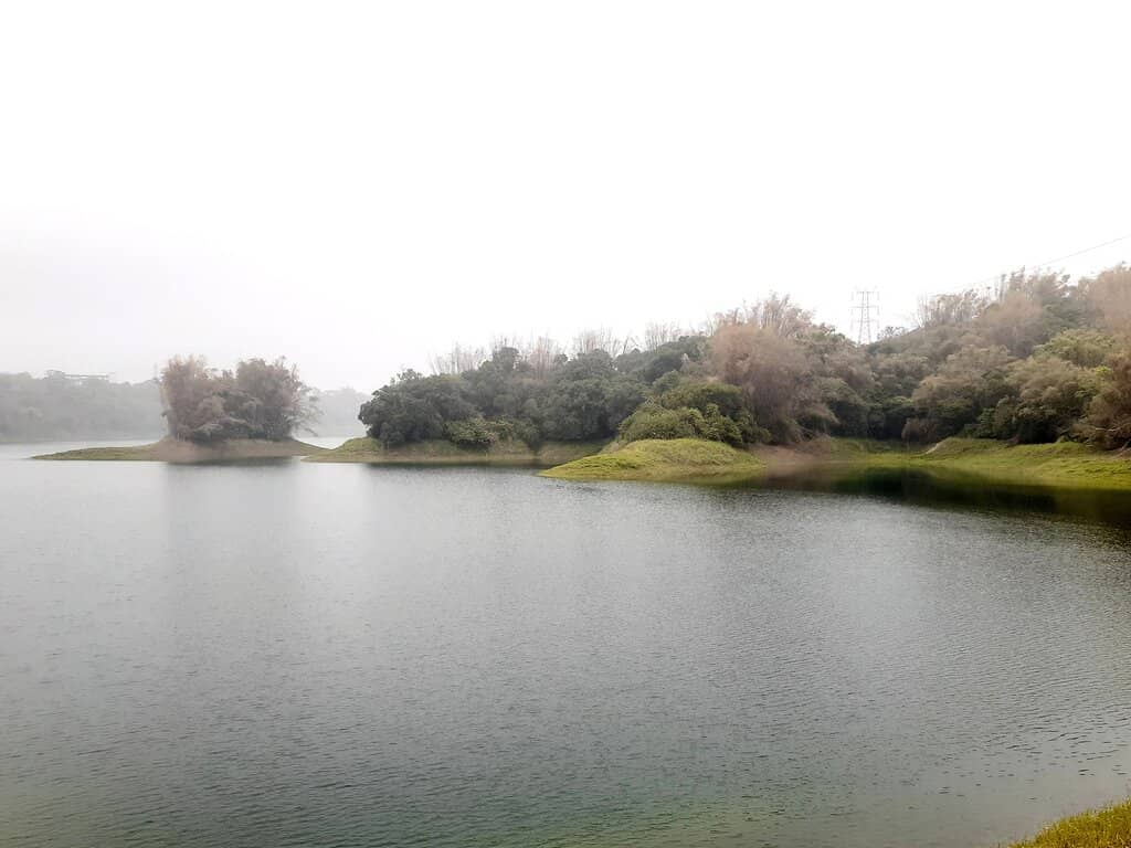 Giant Tree Cluster Trail