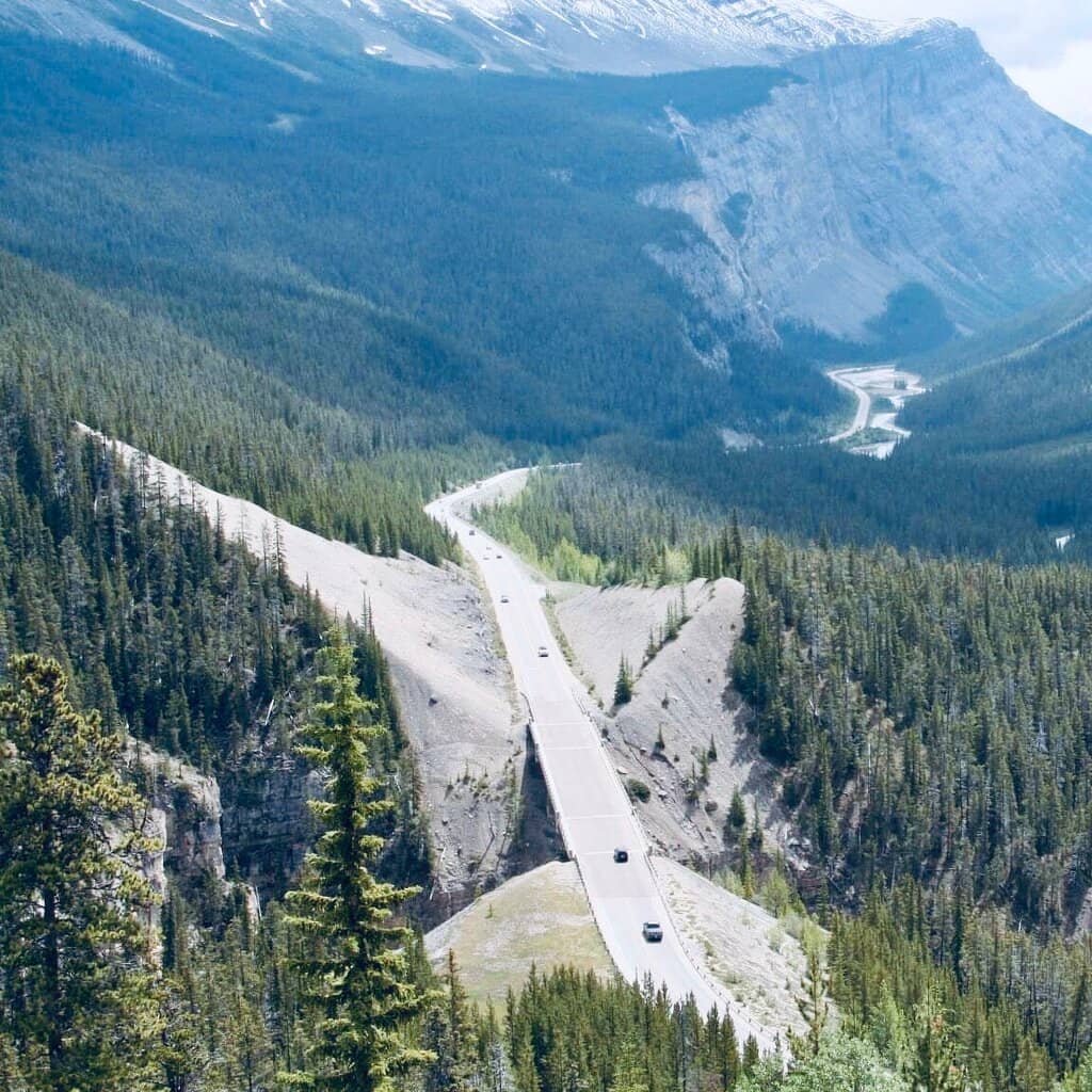 Peyto Lake Viewpoint