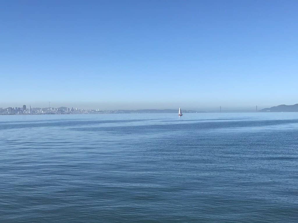 Off-Leash Dog Paradise