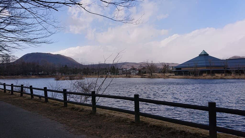 Picnic-Perfect Grass Pitch