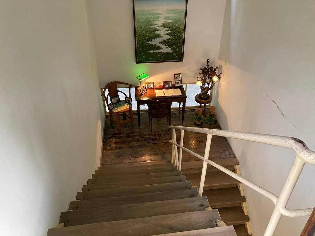 Iron-Rich Medicinal Waters