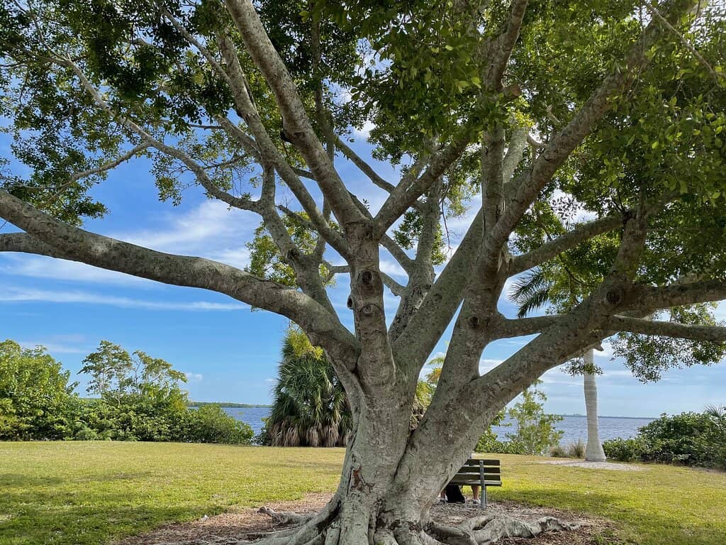 Playground & Picnic Areas