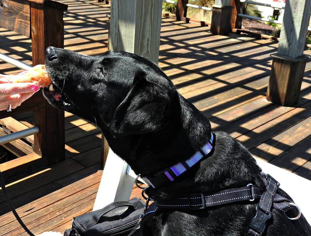 Boardwalk Atmosphere