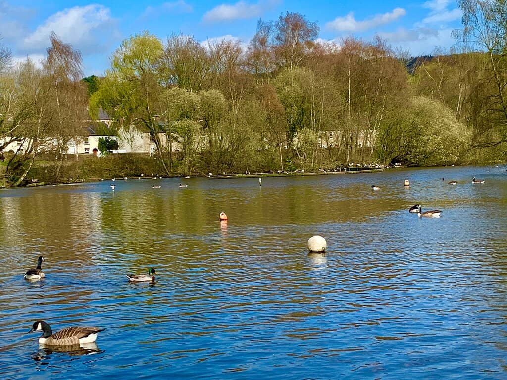 Lake and River Views