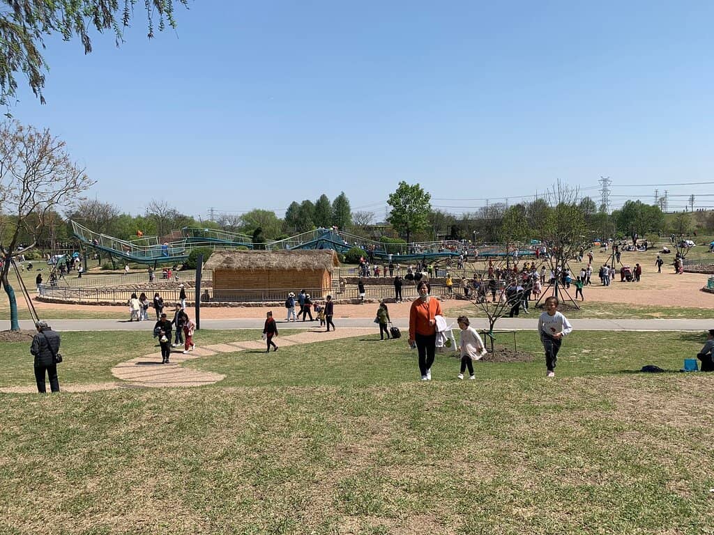 Seasonal Flower Displays