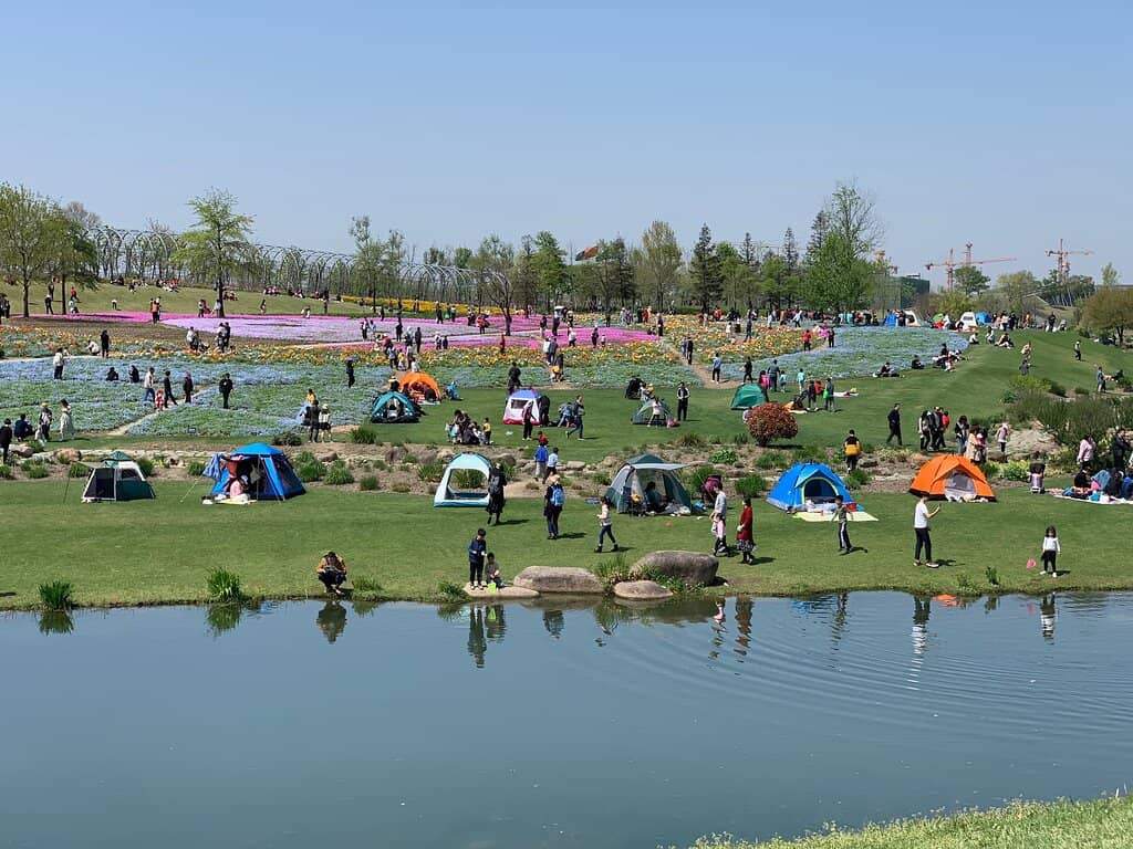 The Dazzling Glasshouse Conservatories